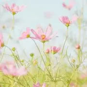 YUKOの画像