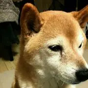 守弥☆の画像