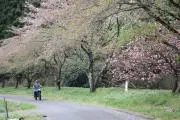 OMの画像