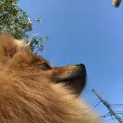 Yutanの画像