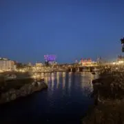 mikiの画像