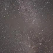 モンの画像