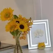 りん❋断捨離中の画像