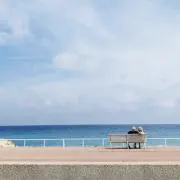カタメノプリンの画像