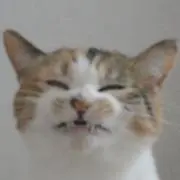 ニャー