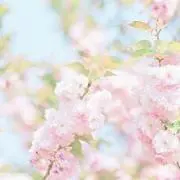 momo   プロフよんでください♪の画像