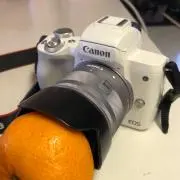 チョコ丸の画像