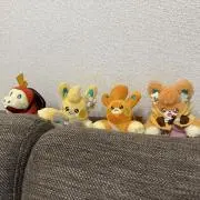 びーのの画像