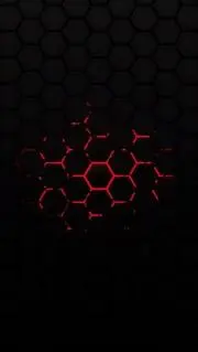 R.I.の画像