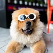 さよぴの画像