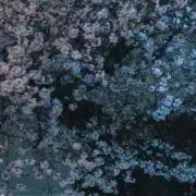 音速の画像