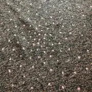 ttttt