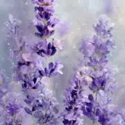 虹色しょっぷ【フォロー割あり⭐️】の画像