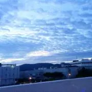su
