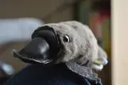 Keiyaの画像