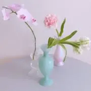 zkの画像