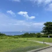 codamaの画像