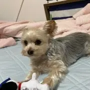 ⭐️亜紀⭐️
