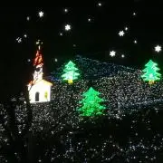 キタキツネの画像