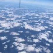 いずの画像