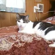 亀さん