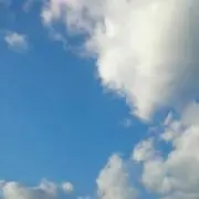 こまめの画像