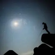 釣り日和職人の画像
