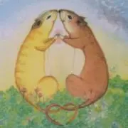 おくら【まとめ購入割引きします！】の画像