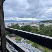 出品本文読んでねの画像