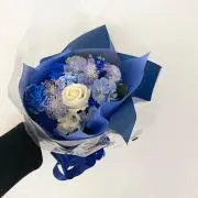 たぬきちの画像