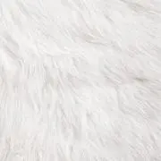 ♡[プロフ必読]の画像