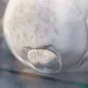 るい　☆プロフ読んでおくれ…の画像