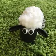 しょーんの画像