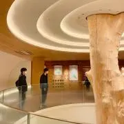 かとりんの画像