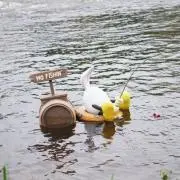 mtの画像