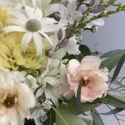 meeeの画像