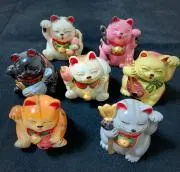 Sakuの画像