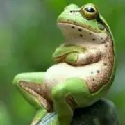 サングリア