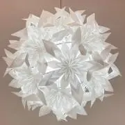 結雪の画像