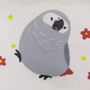 はなの画像