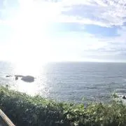 Toaの画像