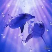 とももの画像