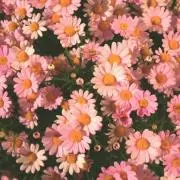 まいまい♥プロフに注意書あります