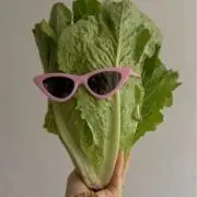 3855656