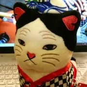 あんこ猫の画像