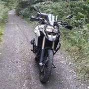 なんじゃくの画像