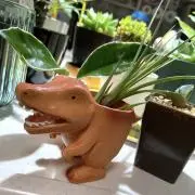 greenの画像