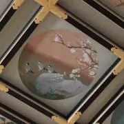 rapiの画像