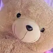 ffの画像