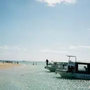 siの画像